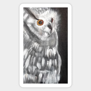 Black and white acrylic painting owl Sticker